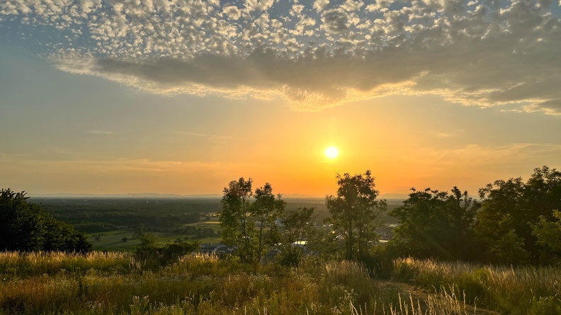 22-06-15 20-44-10 1104.jpeg